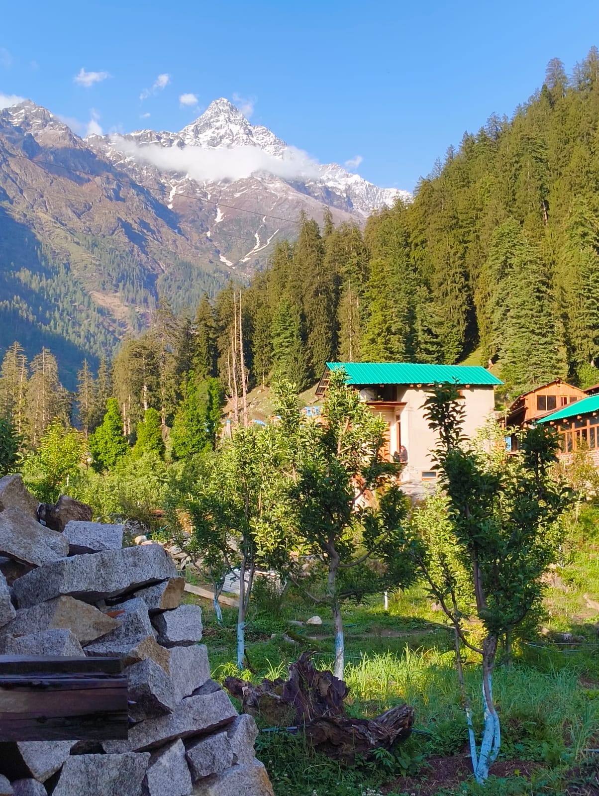 EGL Mountain Cottage with A-shaped mountain view
